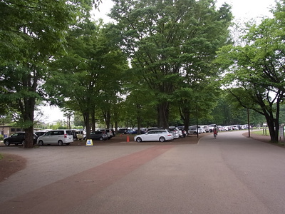 拡張されている小金井公園の第一駐車場